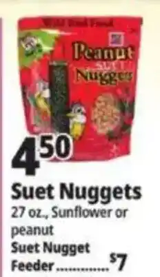 Ocean State Job Lot Peanut Suet Nuggets offer