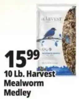 Ocean State Job Lot Harvest Mealworm Medley offer
