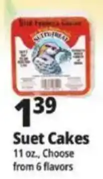 Ocean State Job Lot Suet Cakes offer