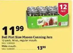 Rural King Ball pint size mason canning jars offer