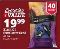 Rural King Everyday Value Black Oil Sunflower Seed offer
