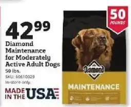 Rural King Diamond Maintenance for Moderately Active Adult Dogs offer