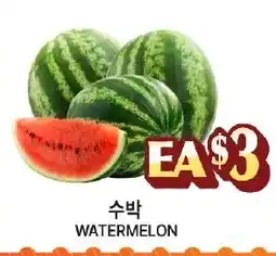 Zion Market Watermelon offer