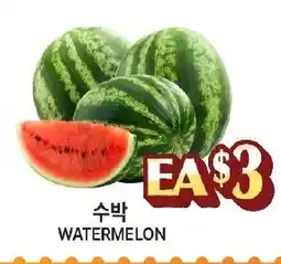 Zion Market Watermelon offer