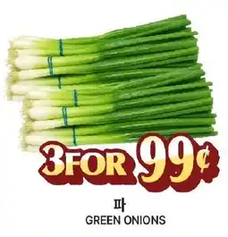Zion Market Green Onions offer