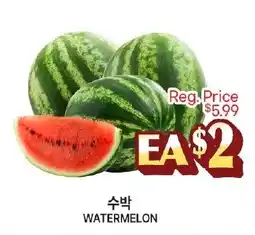 Zion Market Watermelon offer