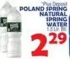 Bravo Supermarkets Poland spring natural spring water offer