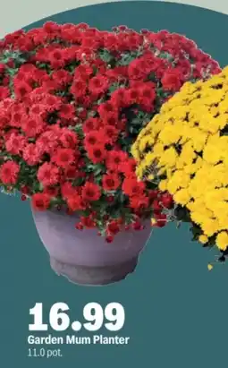 Meijer Garden Mum Planter offer