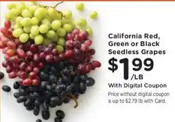 Dillons California red, green or black seedless grapes offer