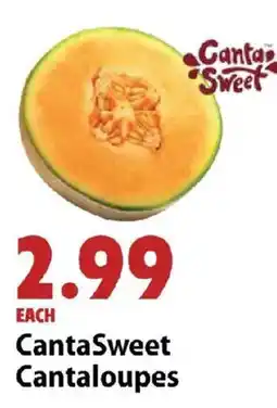 Festival Foods CantaSweet Cantaloupes offer