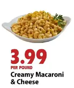 Festival Foods Creamy Macaroni & Cheese offer