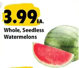 Festival Foods Whole, Seedless Watermelons offer