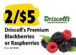 Festival Foods Driscoll's Premium Blackberries or Raspberries offer