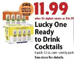 Festival Foods Lucky One Ready to Drink Cocktails offer