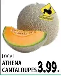 Karns Athena cantaloupes offer