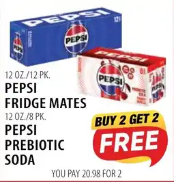Karns Pepsi fridge mates offer