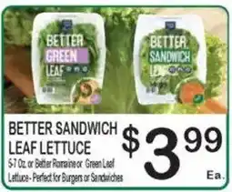 Foodland Better sandwich leaf lettuce offer