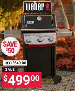 Ace Hardware Weber spirit offer