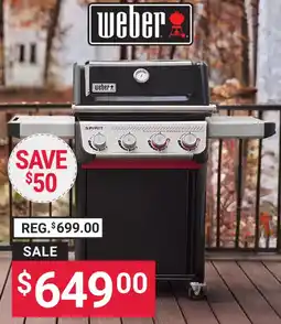Ace Hardware Weber spirit offer