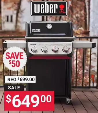 Weber spirit