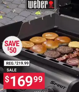 Ace Hardware Weber spirit offer