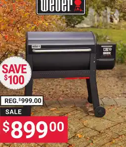 Ace Hardware Weber grill offer