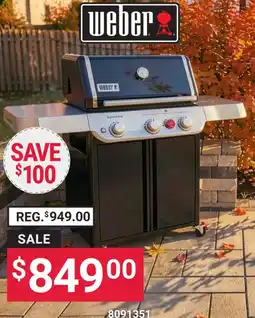 Ace Hardware Weber gas grill offer