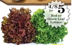 Harvest Foods Red or Green Leaf Lettuce offer