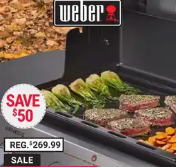 Ace Hardware Weber Genesis offer