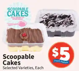 Food City Scoopable Cakes offer