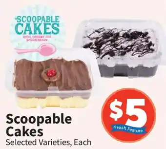 Food City Scoopable Cakes offer
