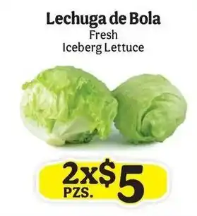 Fresh Iceberg Lettuce