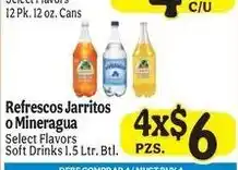 La Michoacana Select Flavors Soft Drinks offer