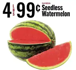 Jons International Seedless Watermelon offer