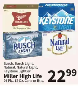 Food City Busch, Busch Light, Natural, Natural Light, Keystone Light or Miller High Life offer