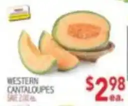 Ingles Markets Western Cantaloupes offer