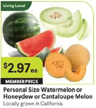 Personal Size Watermelon or Honeydew or Cantaloupe Melon