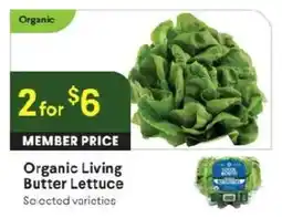 Raley's Organic Living Butter Lettuce offer