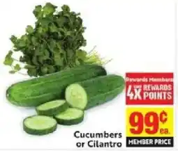 Save Mart Cucumbers or Cilantro offer