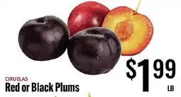 Jons International Red or Black Plums offer