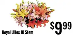 Jons International Royal Lilies 10 Stem offer