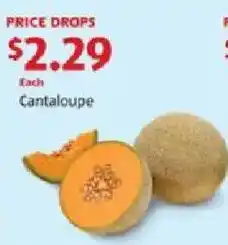 Aldi Cantaloupe offer