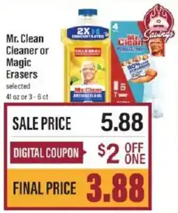 Lowes Foods Mr. Clean Cleaner or Magic Erasers offer