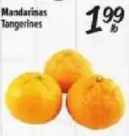 El Super Mandarinas Tangerines offer
