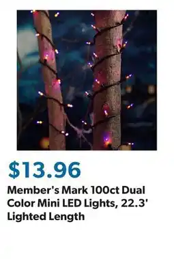 Sam's Club Member's Mark 100ct Dual Color Mini LED Lights, 22.3' Lighted Length offer
