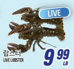 Joong Boo Market LIVE LOBSTER offer