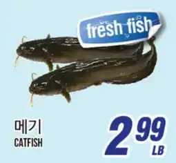 Joong Boo Market CATFISH offer