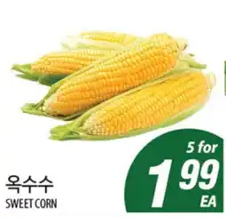 Joong Boo Market SWEET CORN offer