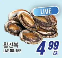 Joong Boo Market LIVE ABALONE offer