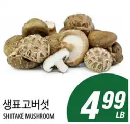 Joong Boo Market SHIITAKE MUSHROOM offer